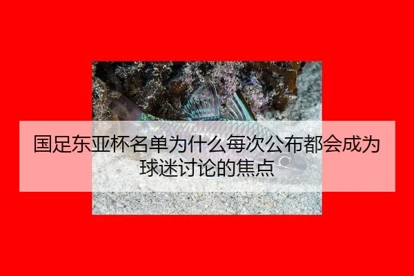 国足东亚杯名单为什么每次公布都会成为球迷讨论的焦点
